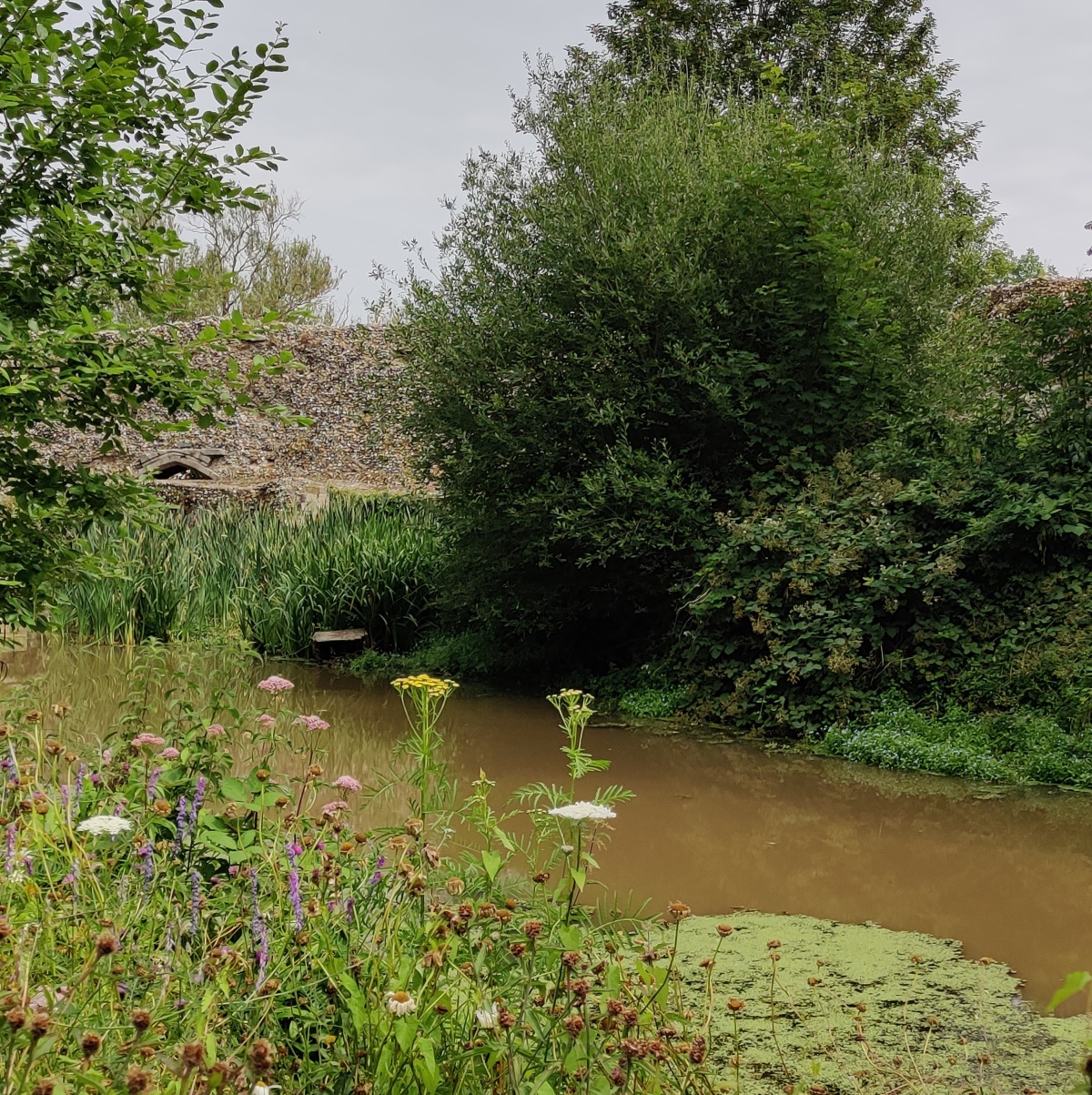 Streams of Natural Law Diaries : No. 6 : Bury St Edmunds and the River Lark
